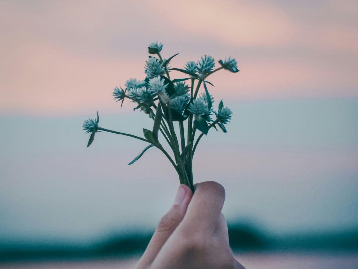 offre d'emploi délégué pharma